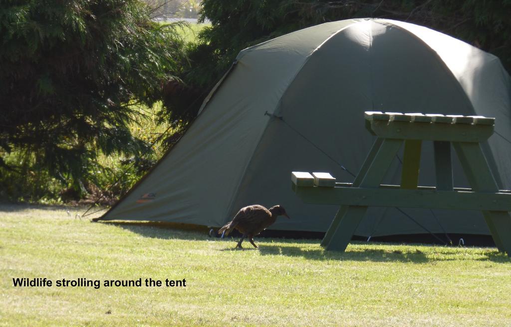 Carters Beach Top 10 Holiday Park Westport Eksteriør billede